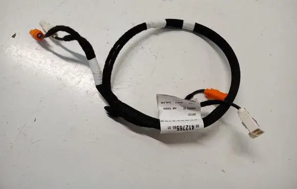 Citroen C4 III e-C4 Front door wiring loom/harness boot 9841276580