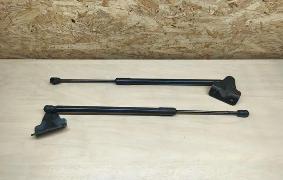 Renault Austral Tailgate/trunk strut/damper 904517722R