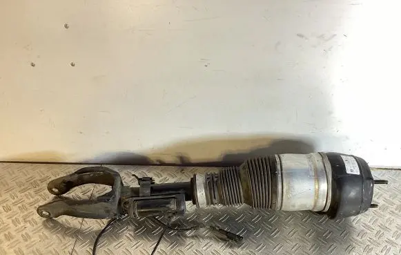 Mercedes-Benz GLE (W166 - C292) Air suspension front shock absorber A1663204566 R309513905 A1663231100