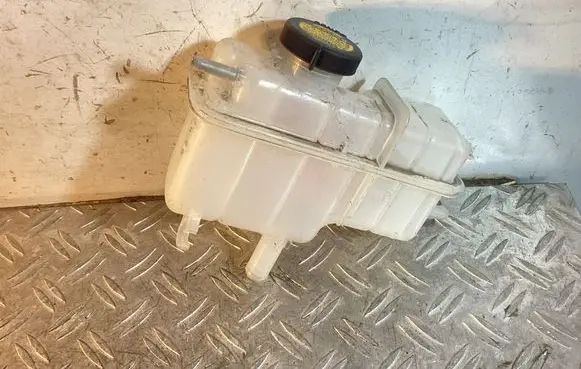 Lexus RX 450H Brake fluid reservoir 