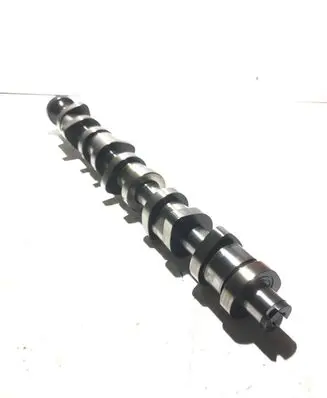 Volkswagen Phaeton Camshaft nera
