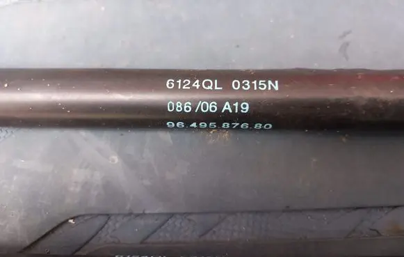 Peugeot 1007 Rear window strut damper 