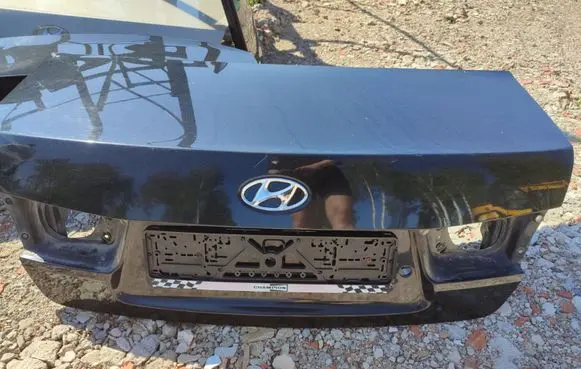 Hyundai Sonata Back/rear loading door 