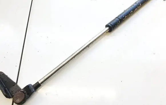 Tailgate/trunk strut/damper