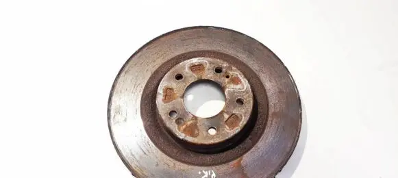 Hyundai Santa Fe Front brake disc ventiliuojamas