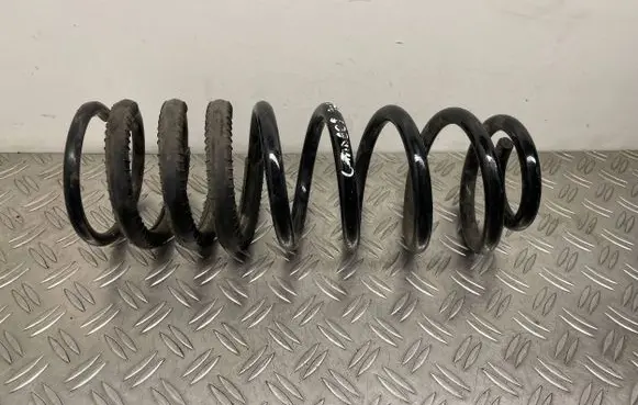Ford Transit - Tourneo Connect Rear coil spring 