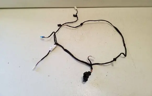 BMW X6 F16 Front door wiring loom 6819935