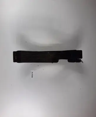 Mercedes-Benz S W220 Accelerator throttle pedal A2203000102