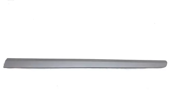 Front door trim (molding)