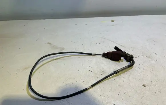 Volkswagen Golf V Exhaust gas temperature sensor 03G906088 897906521