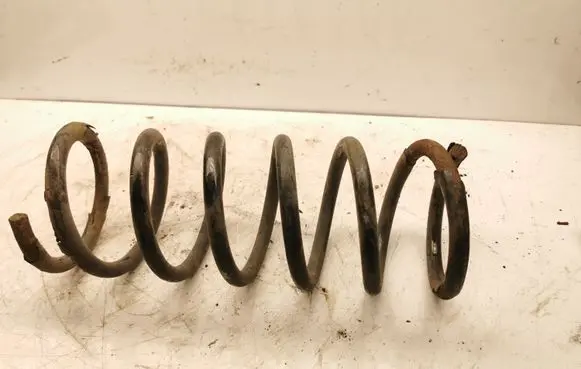 Rear coil spring