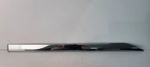 Rear door trim (molding)