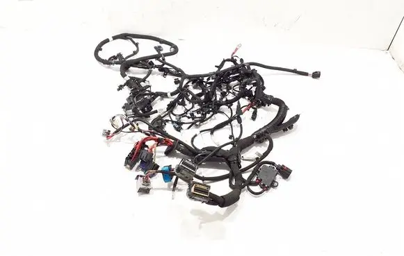 Renault Kangoo III Engine installation wiring loom 240111496S