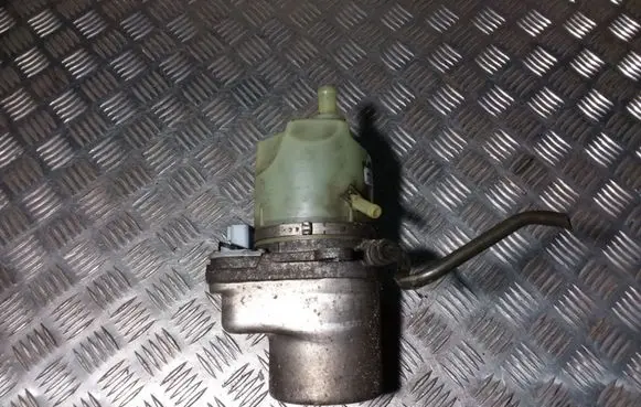 Electric power steering pump