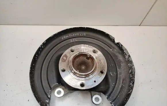 Opel Grandland X Rear wheel hub 9820098380