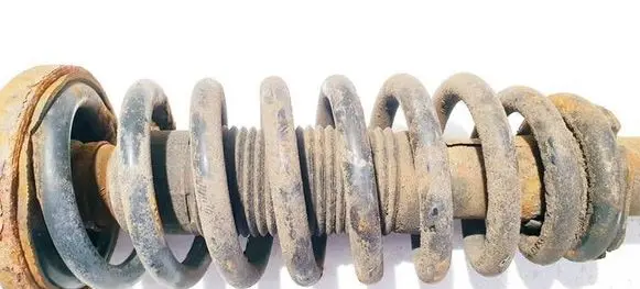 Front coil spring