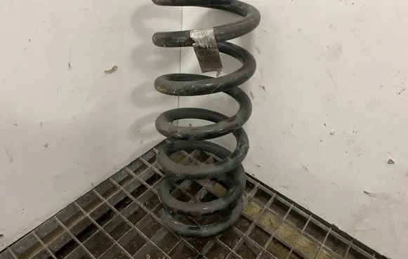 Ford Mustang VI Rear coil spring FR3C5560LA