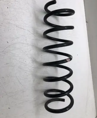Ford Focus Rear coil spring