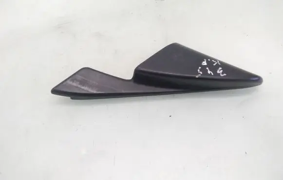 Other front door trim element