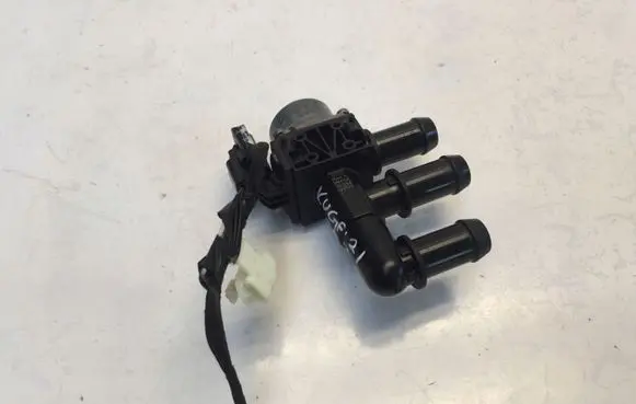 Ford Kuga III Electric auxiliary coolant/water pump LU5A8C505AA