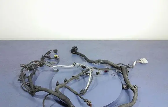 Other wiring loom