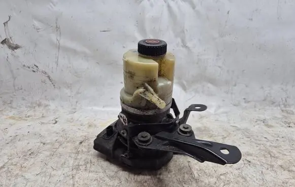 Renault Trafic III (X82) Power steering pump 491100616R A0047924A 93457191