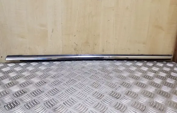 Rear door glass trim molding