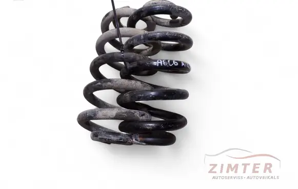 Rear coil spring