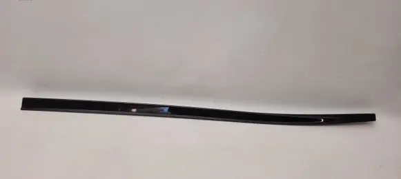 Nissan Juke I F15 Front door trim (molding)