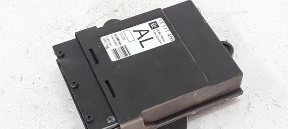 Opel Signum Door control unit/module 13111456