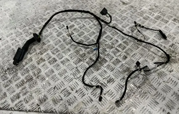 BMW 3 F30 F35 F31 Front door wiring loom 19344411 9366761