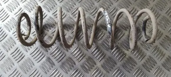 Ford Fusion Rear coil spring