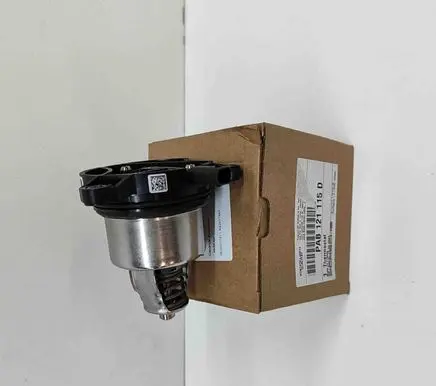 Porsche Cayenne (9Y0 9Y3) Thermostat PAB121115D