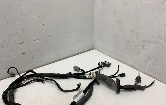 Ford Ecosport Tailgate/trunk wiring harness FN1T17K400FF