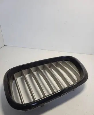 BMW X5 E53 Front grill 51138247673