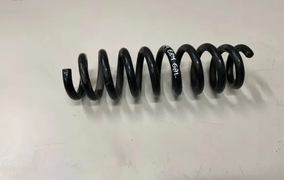 BMW X1 E84 Rear coil spring
