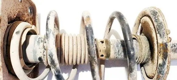 Citroen Jumpy Front coil spring 
