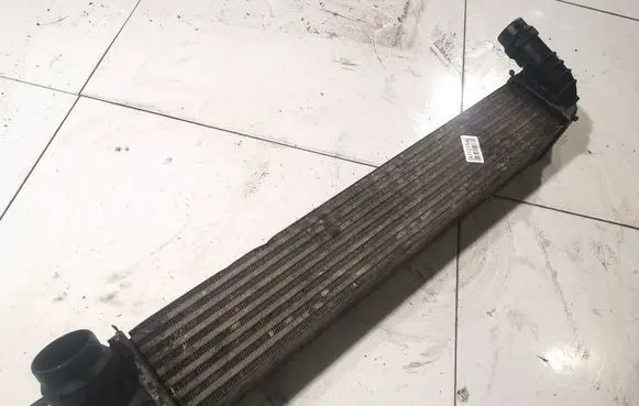 Renault Laguna III Intercooler radiator 