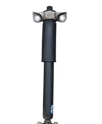 Ford Edge II Rear shock absorber/damper F2GC18W002BND