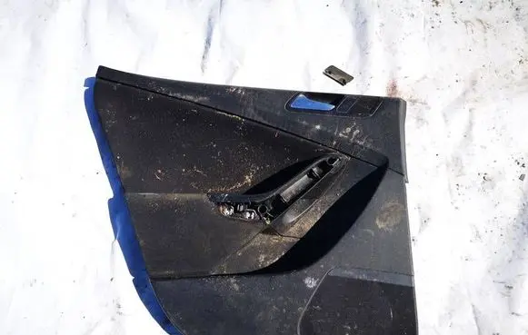Volkswagen PASSAT B6 Rear door card panel trim 3C9867211