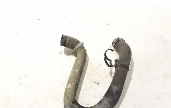 Peugeot Expert Intercooler hose/pipe 9806788380