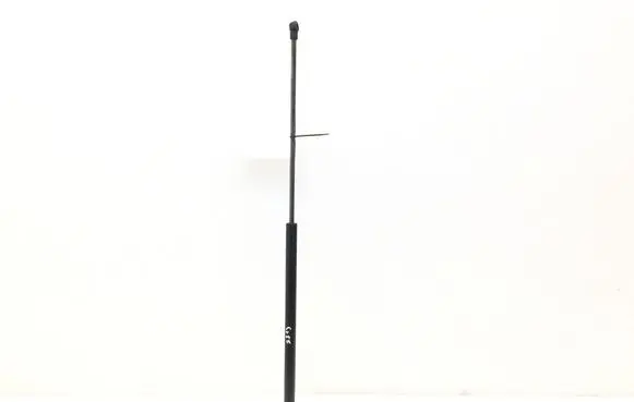 Nissan Juke I F15 Tailgate strut 904501KA1B