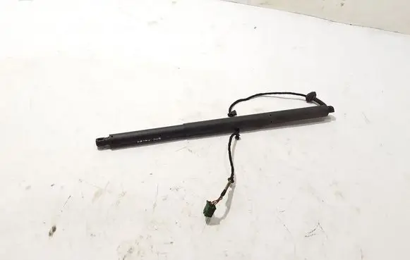 Tailgate strut