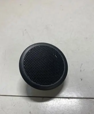 Panel speaker