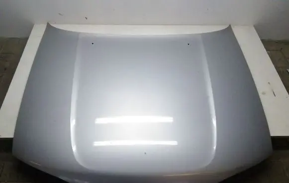 Engine bonnet/hood