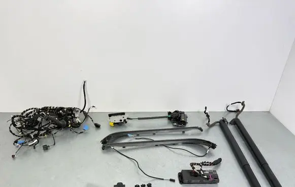 Volkswagen PASSAT B8 Tailgate hydraulic set 3G0827887B