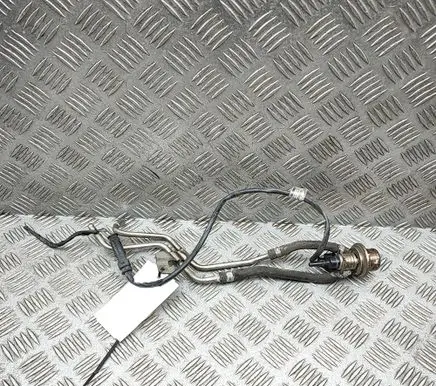 Mercedes-Benz S C217 AdBlue injector A0004900813