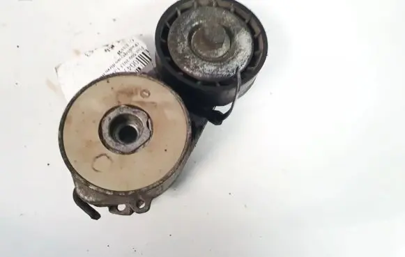 Fiat 500 Generator/alternator belt tensioner