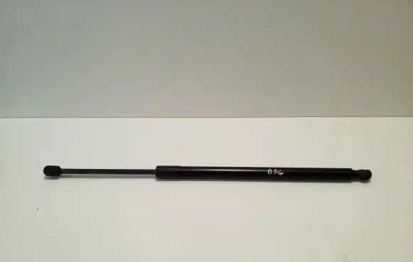 Tailgate/trunk strut/damper