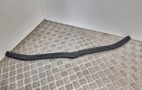 Engine bonnet/hood lock trim molding